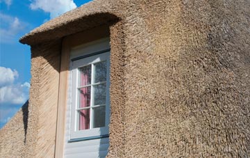 Thwaite thatch roof disadvantages